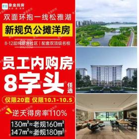 正商松湖上境