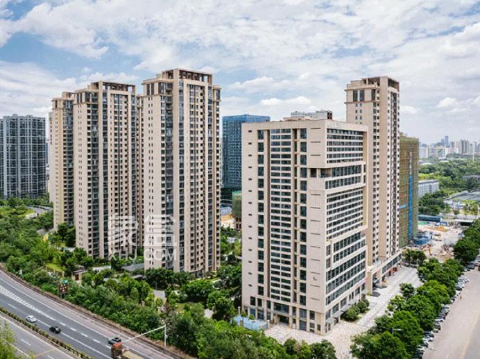 江悦和鸣商改住落定，省府红盘、河东最强学区还有新房供应！