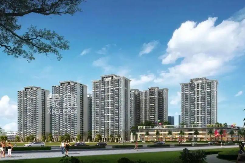 海口楼市冰火两重天：新房狂欢与二手房寒冬‌