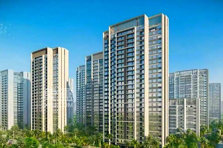 海口楼市冰火两重天：新房狂欢与二手房寒冬‌