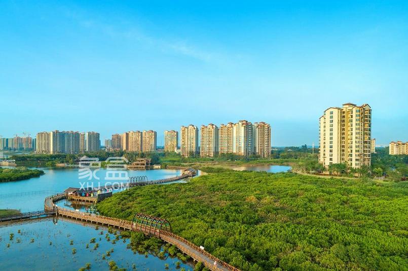 海南严控商业住宅项目申报省重大政策的深层逻辑（2025年10月政策解读）