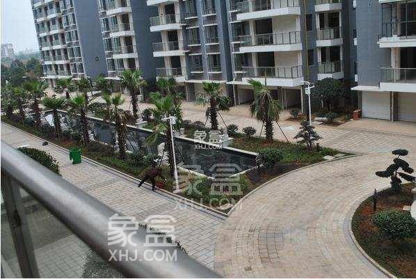 新府华城小区测评：高绿化+优配套，河东新区的高品质宜居典范