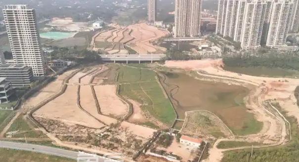长沙望城区丁字湾新项目启动，未来将添一处“都市田园”新地标