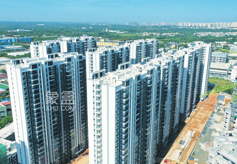 海南楼市“量价齐升”：自贸港红利激活市场新动能‌