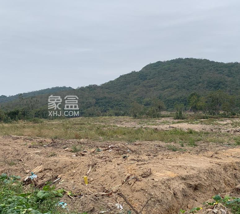 海南土地储备新规落地：为自贸港建设注入“土地动能”