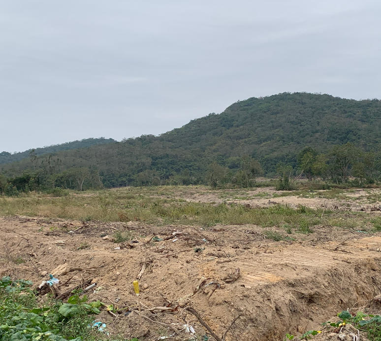 海南土地储备新规落地：为自贸港建设注入“土地动能”