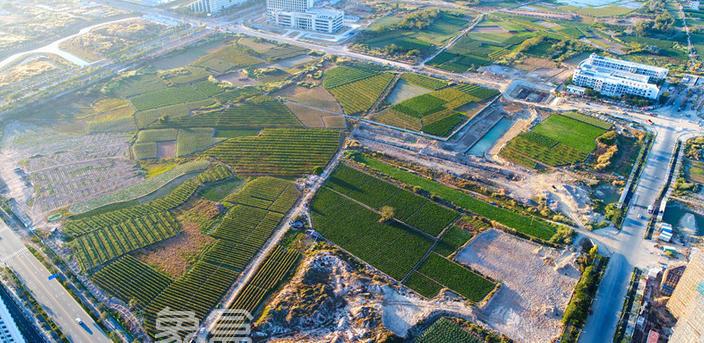 海南土地储备新规落地：为自贸港建设注入“土地动能”