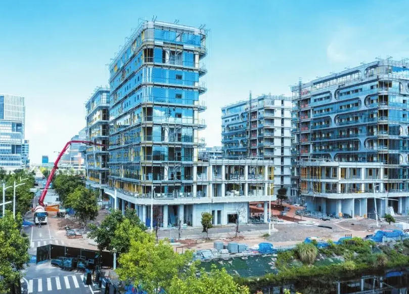 海口全力冲刺四季度：以“走出去”与“引进来”双轮驱动，激活高质量发展新动能