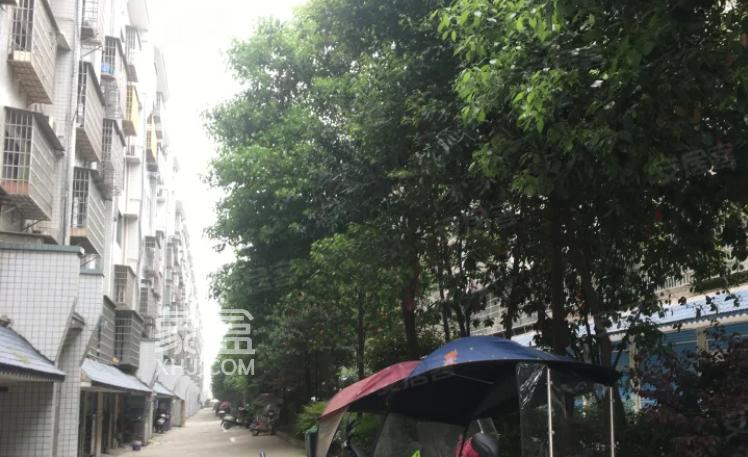 龙庭贵筑小区测评:珠山孙水畔,改善型宜居之选 龙庭贵筑小区测评:珠山孙水畔,改善型宜居之选