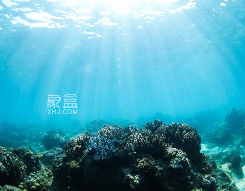 海南启动海岸带生态保护修复项目:筑牢生态屏障 守护美丽海岸 海南启动海岸带生态保护修复项目:筑牢生态屏障 守护美丽海岸