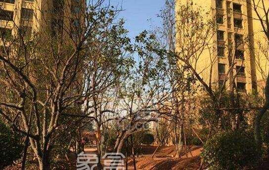 公积金贷款利率会随房贷利率下降而调整吗? 公积金贷款利率会随房贷利率下降而调整吗?