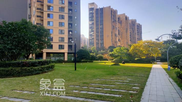 捡漏特价租房上新！湘江边、高铁旁，户型多样月租不高