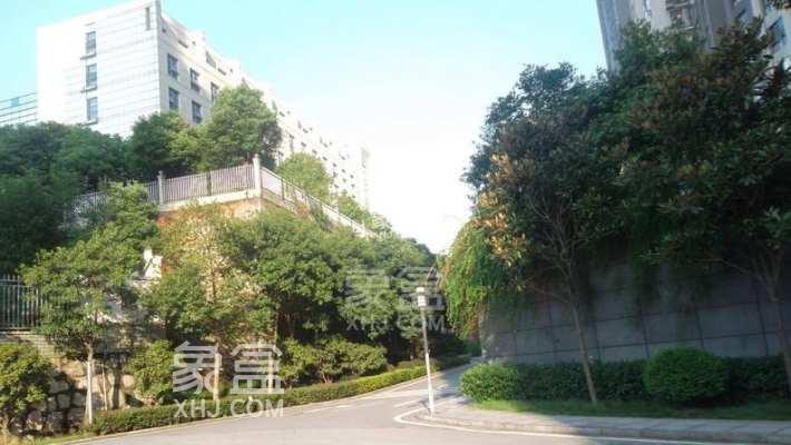 捡漏特价租房上新！湘江边、高铁旁，户型多样月租不高