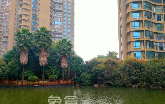 年底买房VS过完年买房：到底哪个更划算？