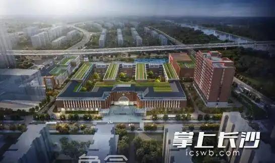 长沙国际会展新城片区以强劲发展为驱动力,打造品质教育高地 长沙国际会展新城片区以强劲发展为驱动力,打造品质教育高地