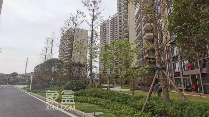 碧桂园娄星府：地段、配套双优，购房者不可错过的选择！