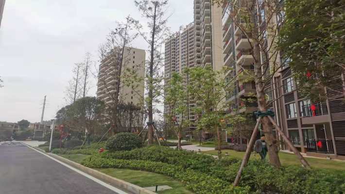 碧桂园娄星府：地段、配套双优，购房者不可错过的选择！