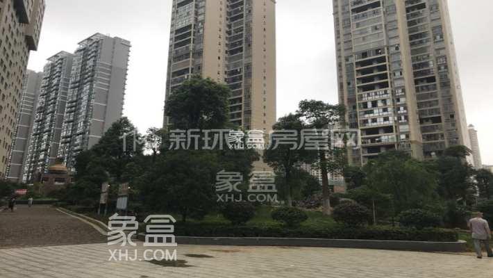 金和天下小区测评：都市复合中心，理想居住之选！