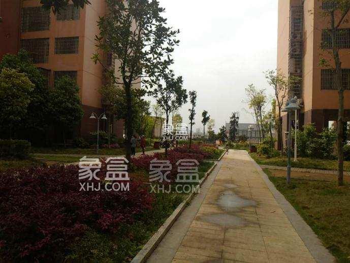 钢都花园小区测评：配套优渥、环境宜人的理想居住之选