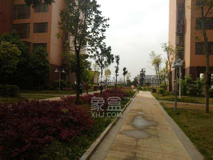 业委会更换物业“通关”全攻略：依法依规，步步为营