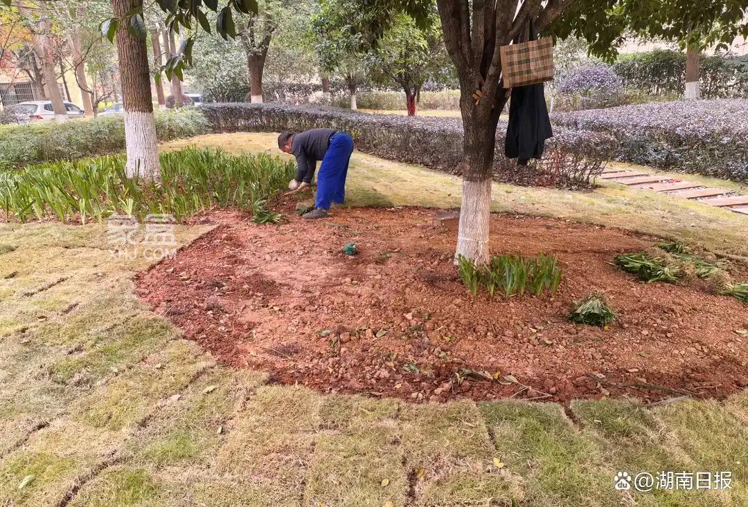 入住13年,没花一分钱,老小区竟用上了堪比新楼盘的智能车库! 入住13年,没花一分钱,老小区竟用上了堪比新楼盘的智能车库!