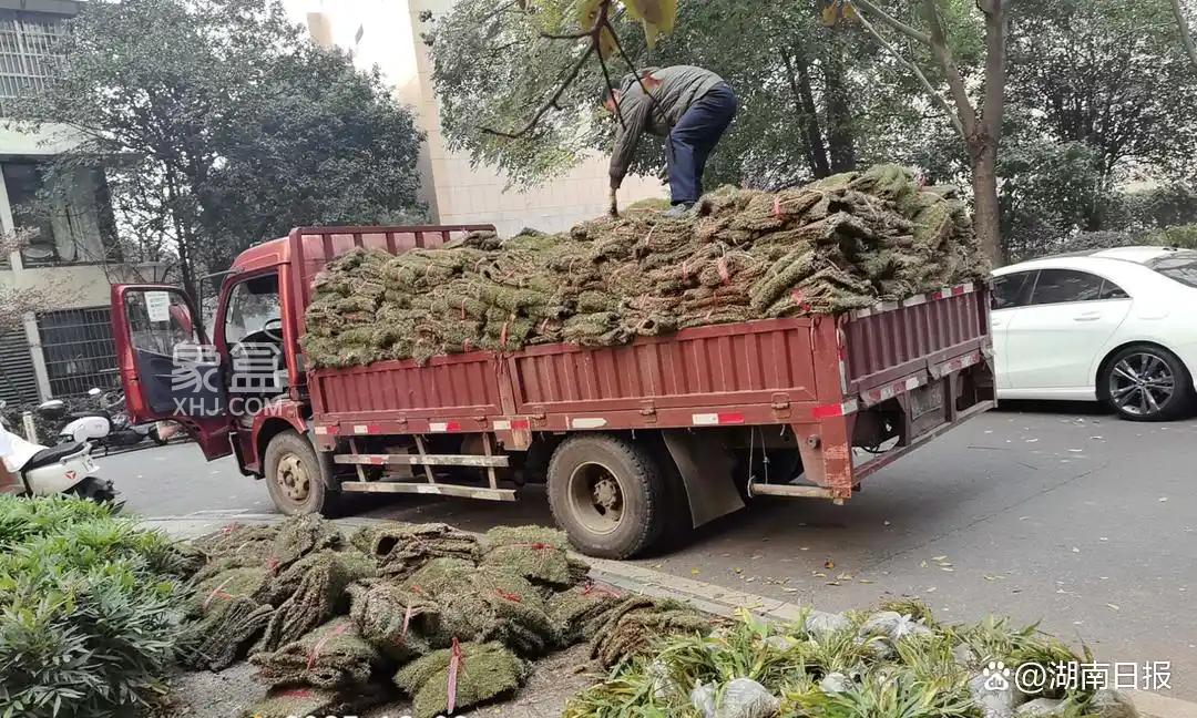 入住13年,没花一分钱,老小区竟用上了堪比新楼盘的智能车库! 入住13年,没花一分钱,老小区竟用上了堪比新楼盘的智能车库!