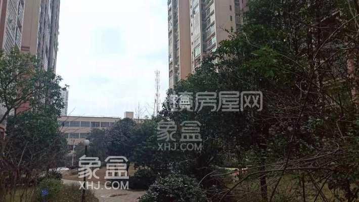 杏林雅苑小区测评：配套醇熟的珠晖区宜居小区