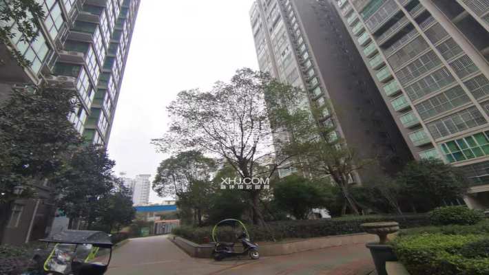 景秀东岸小区测评：高铁旁的性价比之选，学校就在家门口