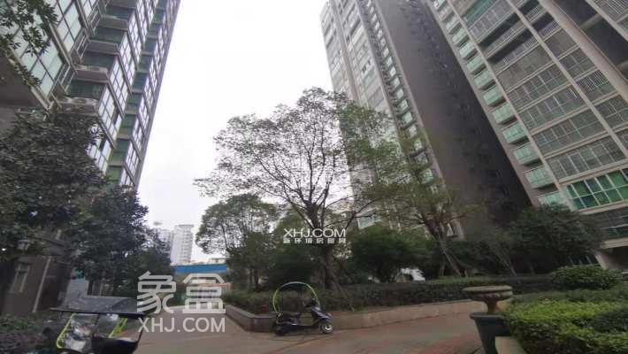 景秀东岸小区测评：高铁旁的性价比之选，学校就在家门口