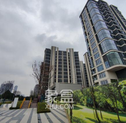 2025年长沙“次新小区”TOP20成交榜单一览！2026哪些次新房值得关注？