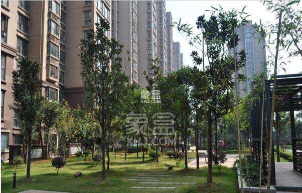 延迟收房，物业费应该从什么时候开始算？