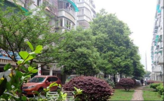 2025年全国新开工改造城镇老旧小区2.71万个!合计近500万户! 2025年全国新开工改造城镇老旧小区2.71万个!合计近500万户!