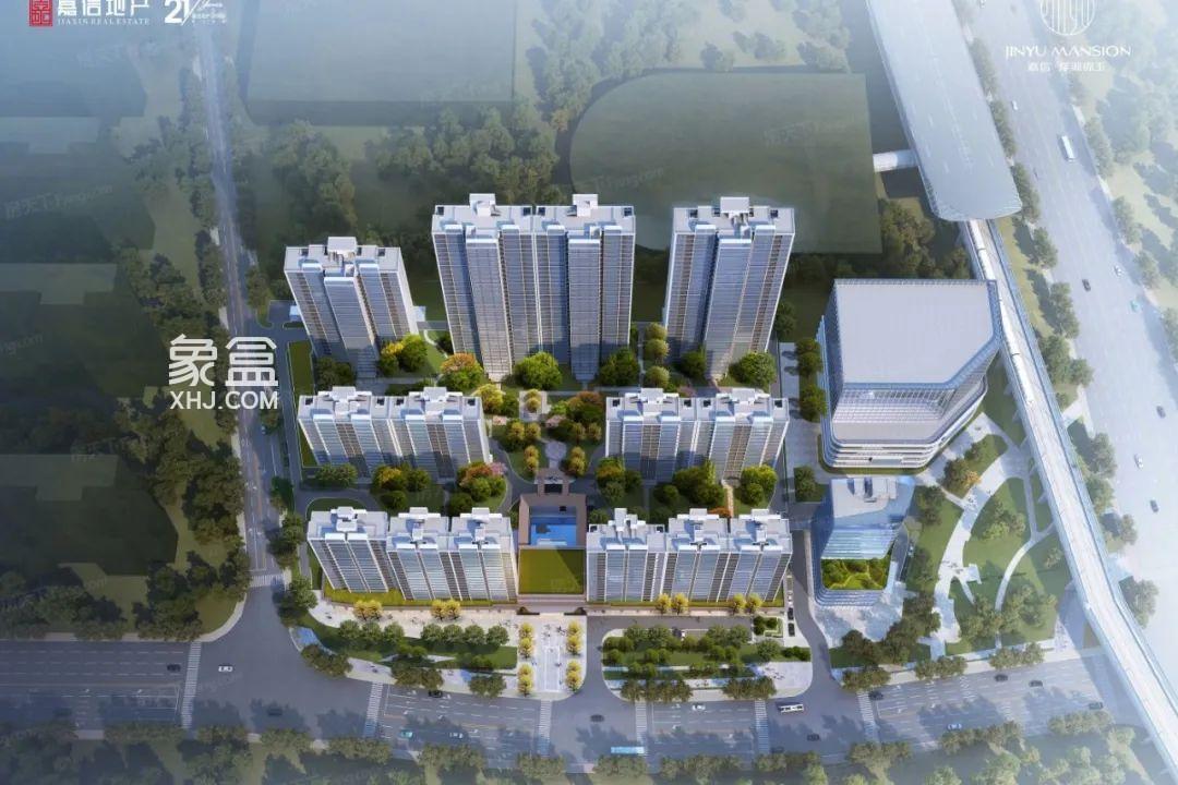 嘉信洋湖锦玉