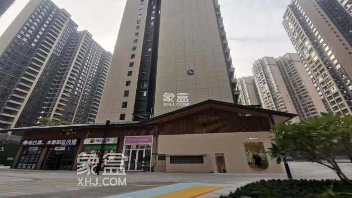 银泰城项目解析：华新核心区社区型购物中心 + 刚需住宅组合