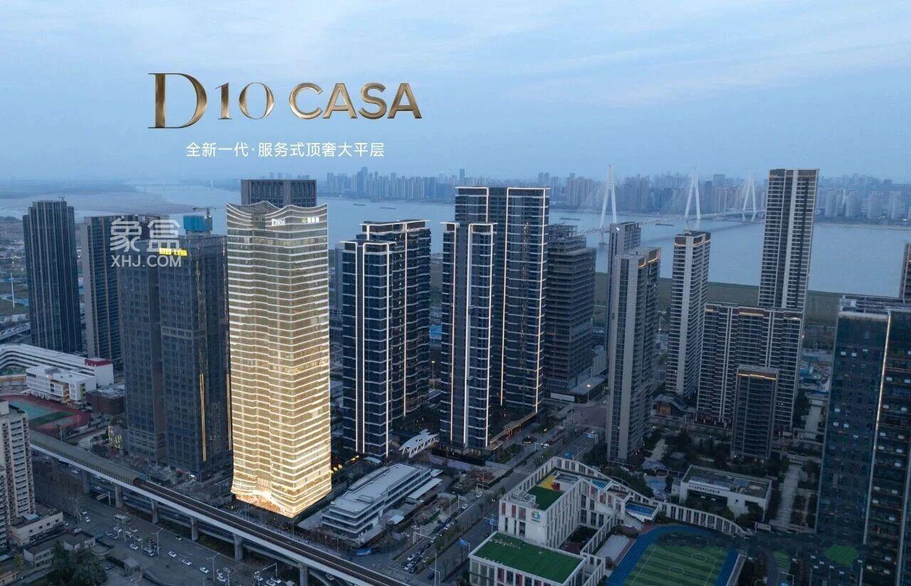 新希望D10CASA