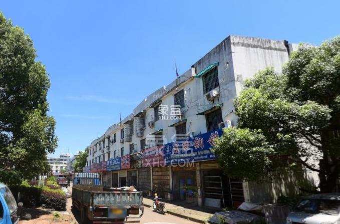 钢材大市场 钢材大市场室内图2