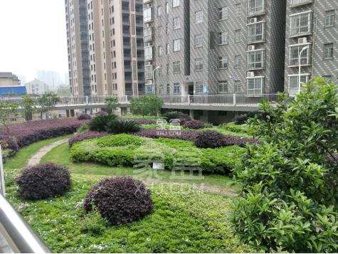 教育小区  3室2厅1卫    3000.0元/月 教育小区  3室2厅1卫    3000.0元/月小区图