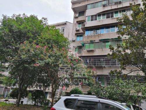 益安小区 益安小区室内图2