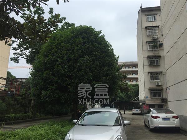 碧翠园石油住宅小区室内图2