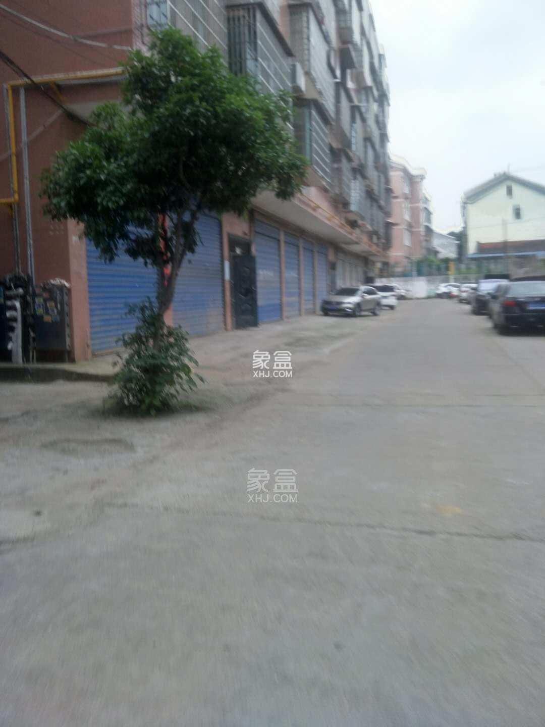 金塘小区  1室1厅1卫    850.0元/月 金塘小区  1室1厅1卫    850.0元/月小区图