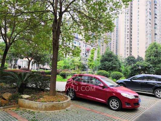 益安小区 益安小区室内图2