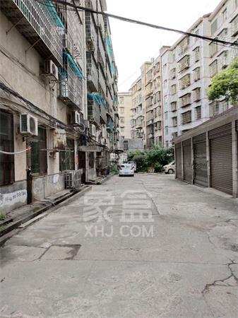 金桃苑小区  1室1厅1卫    400.0元/月 金桃苑小区  1室1厅1卫    400.0元/月小区图