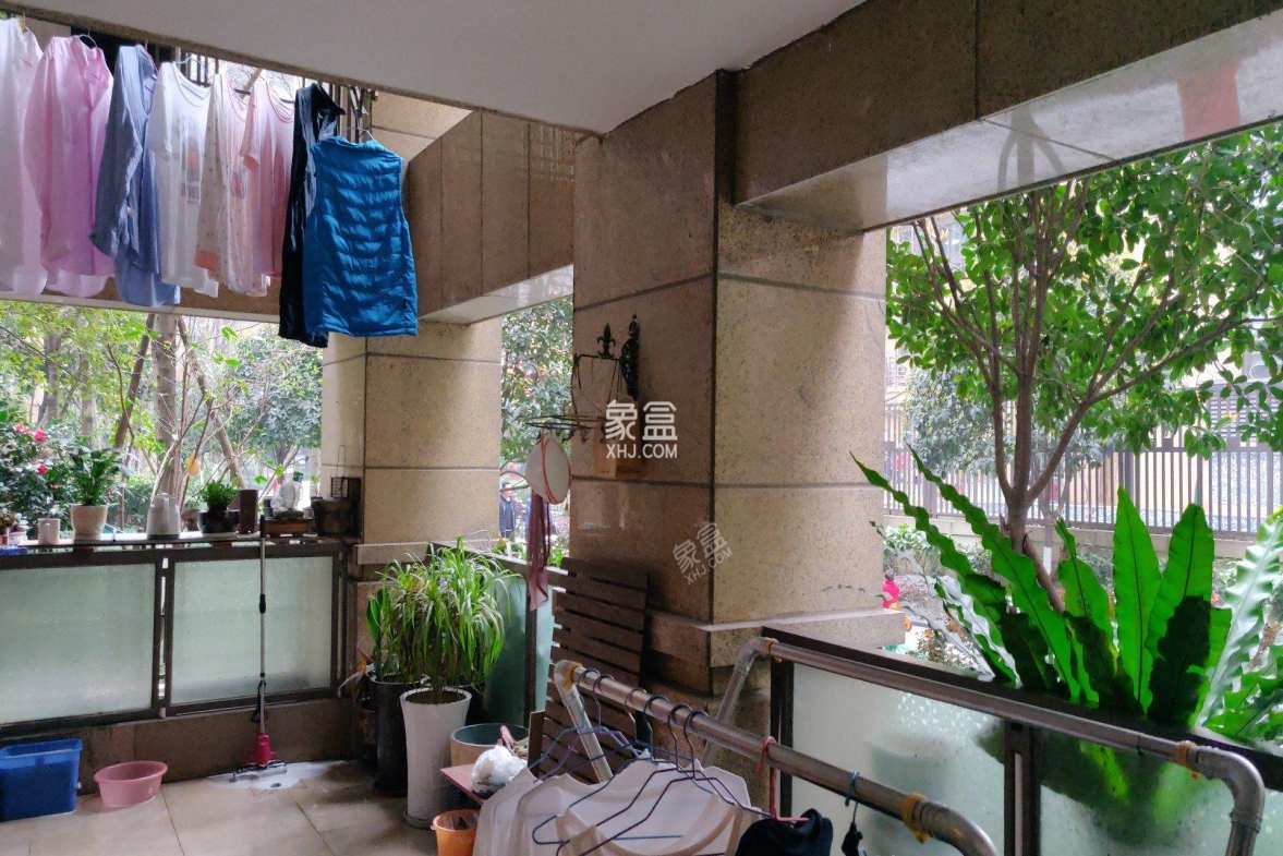 南湖国际3期  3室2厅1卫    3600.0元/月 南湖国际3期  3室2厅1卫    3600.0元/月室内图