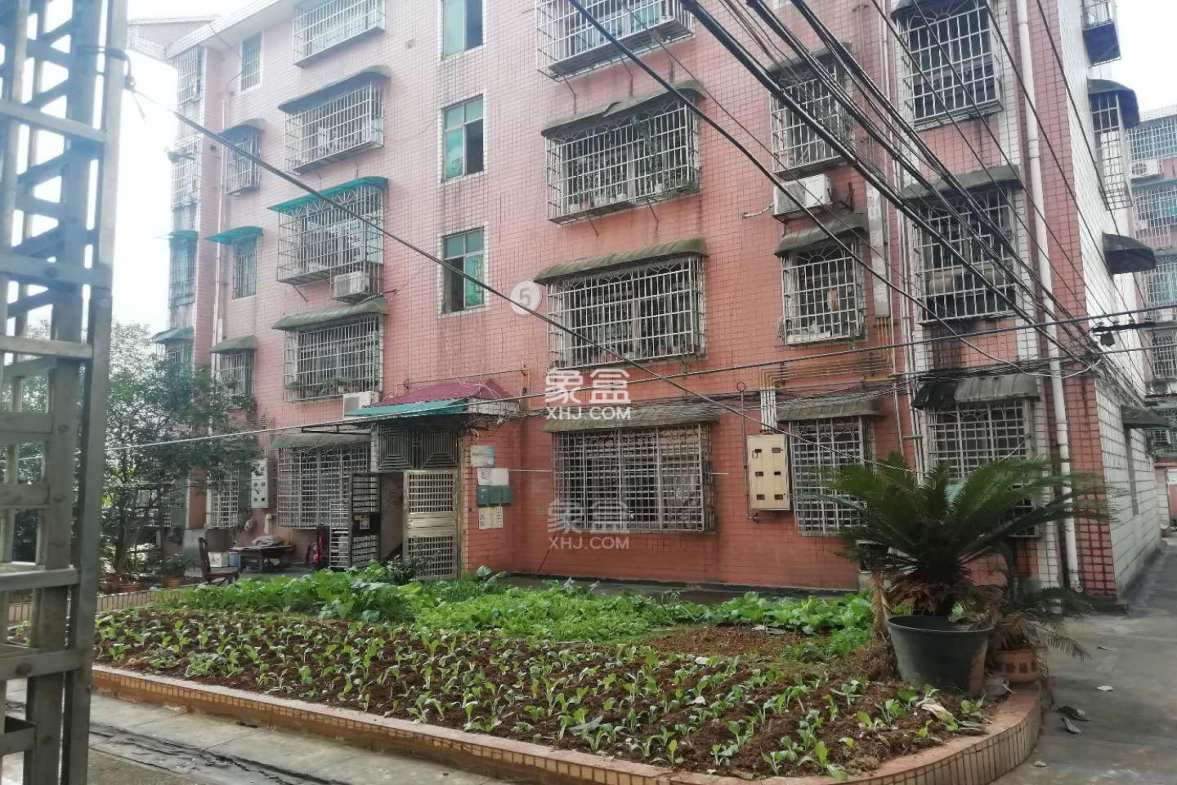 桃花仑办事处铁铺岭居委会 3室2厅1卫 800.0元/月 桃花仑办事处铁铺岭居委会 3室2厅1卫 800.0元/月小区图