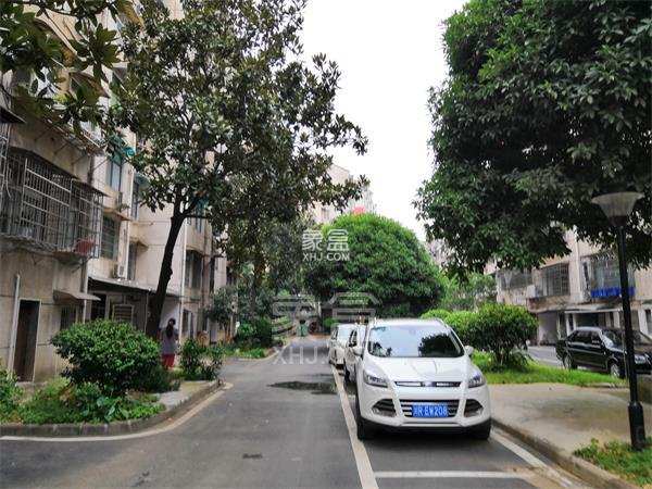 益安小区 益安小区室内图1