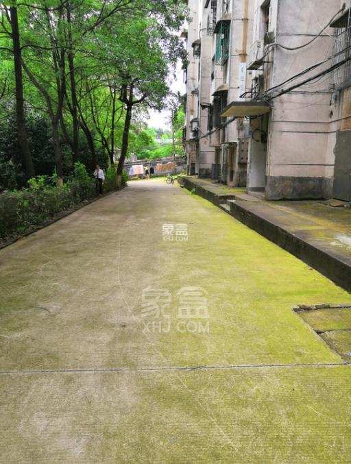 老质量技术监督局家属区 3室2厅1卫 900.0元/月 老质量技术监督局家属区 3室2厅1卫 900.0元/月小区图