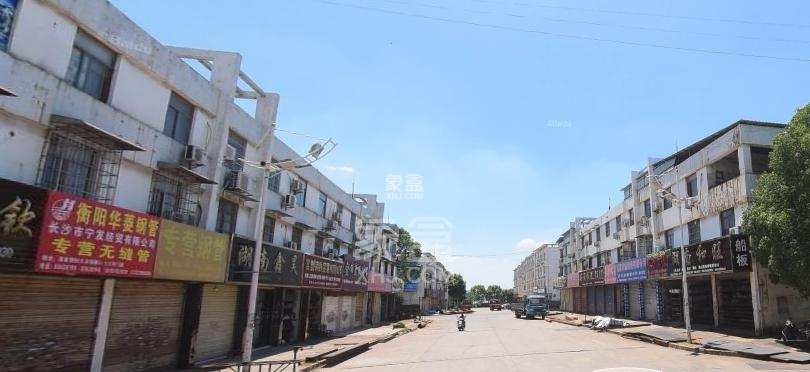 钢材大市场 钢材大市场室内图2