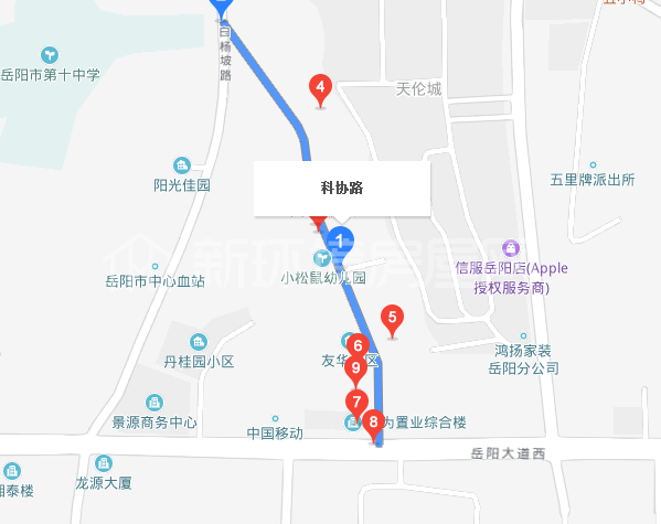 科协路散盘室内图2